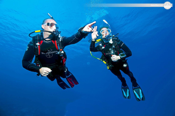Pleasurable diving and Snorkeling Experiences with an amazing purpose built Dive Boat Charter in Aqaba, Jordan