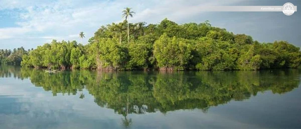 Wonderful Madolduwa Boat Tours in Habaraduwa, Sri Lanka