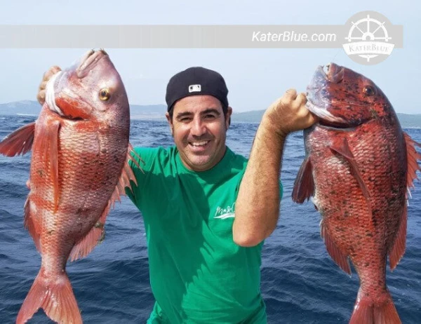 Breathtaking 3 Hour Sailing trip with a perfect Motor boat in Málaga, Spain