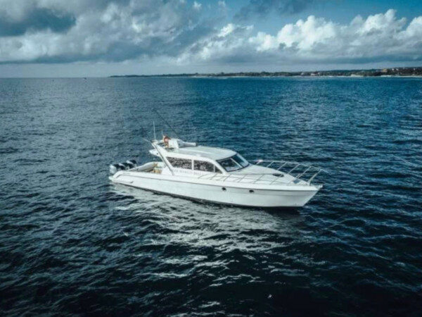 Full-Day 4 Hours Cruising Experience along Nusa Penida/Lembongan in Badung-Indonesia 