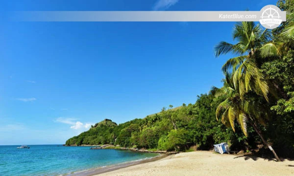 Explore corals, marine life Trincomalee-Sri Lanka