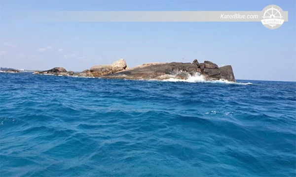 Explore corals Trincomalee-Sri Lanka