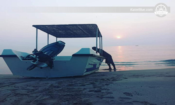 Imponerende delfinoplevelse i turkisblåt vand i Trinco, Sri Lanka