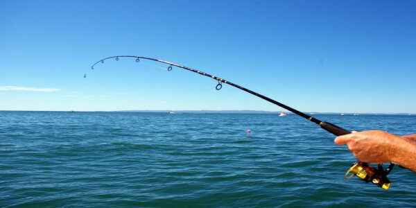 Adventures 4 Hour deep sea fishing Mirissa-Sri Lanka