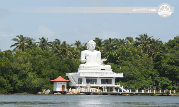 Mangrove River Safari Experience in Bentota-Sri lanka