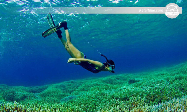 Explore Pigeon island sightseing in Trincomalee-Sri Lanka