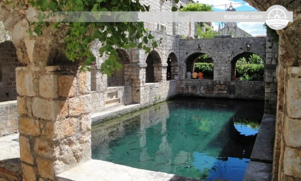 Entdecken Sie die Pracht der Stina Vineyards in Trogir, Kroatien.
