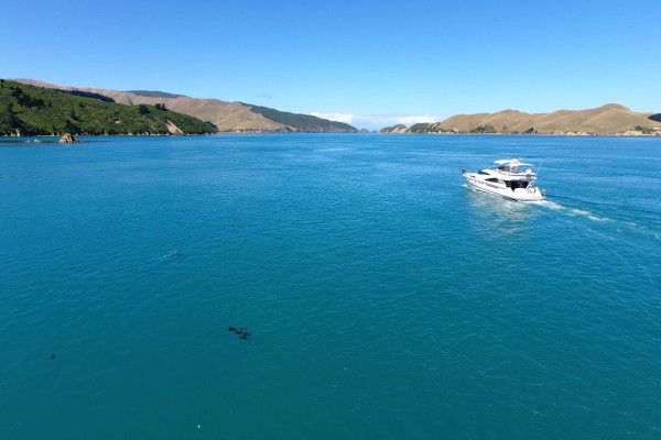 Deluxe motor yacht charters Tennyson Inlet New Zealand