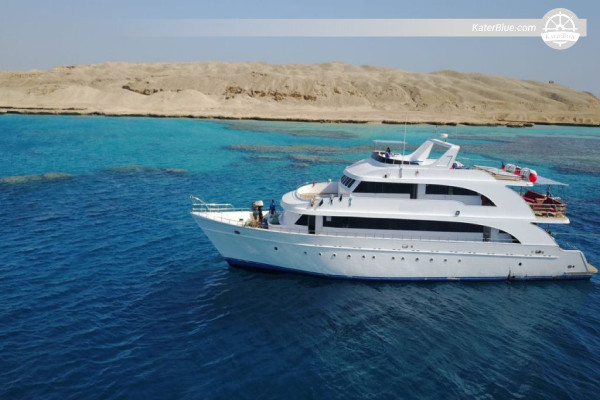 Îles North et Brothers : Croisière plongée de luxe à la journée au départ de la marina de Sharm El Sheikh