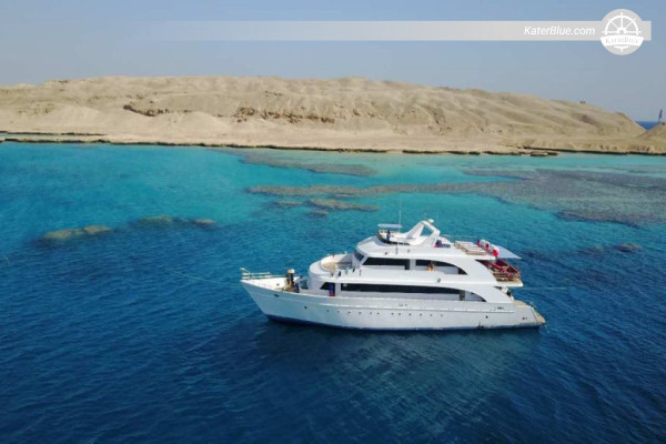 Aventure au Nord et sur les épaves | Croisière plongée de luxe à la journée au départ de la marina de Sharm El Sheikh