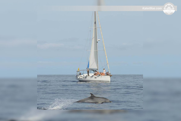 Bavaria Cruiser 45 2012 Sailing Yacht for Sale – Tenerife, Spain